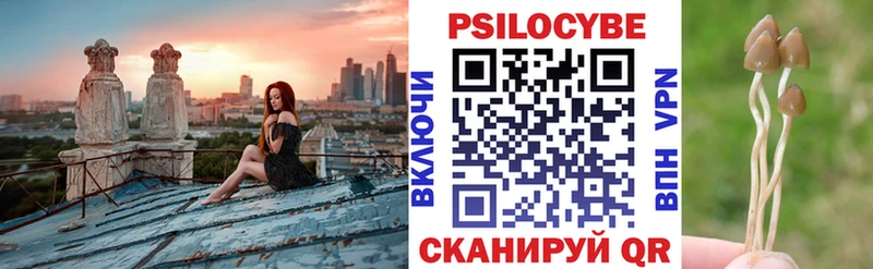 дарнет шоп  Кизел  Псилоцибиновые грибы мицелий 